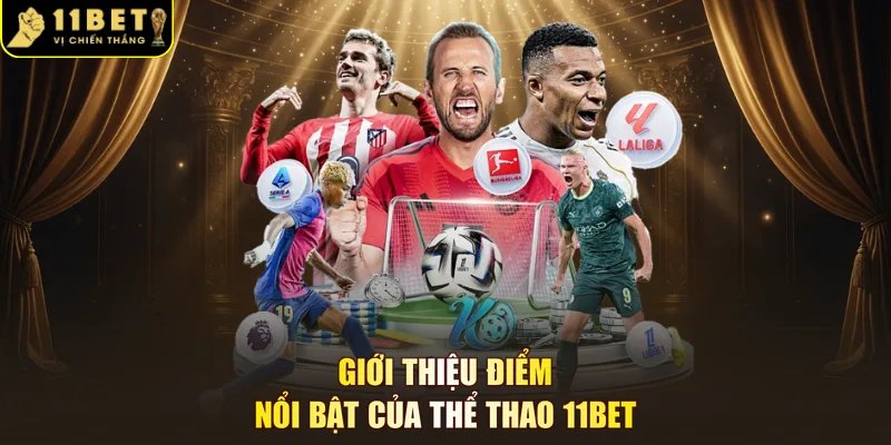 Giới thiệu điểm nổi bật của thể thao 11BET