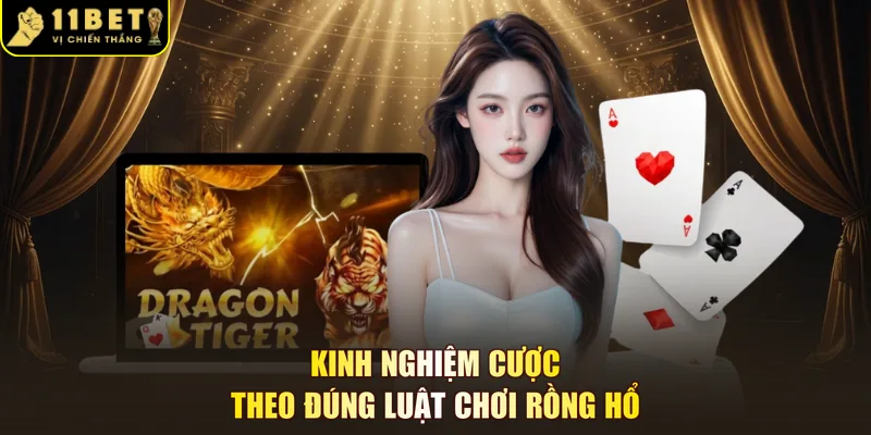 Kinh nghiệm cược theo đúng luật chơi rồng hổ