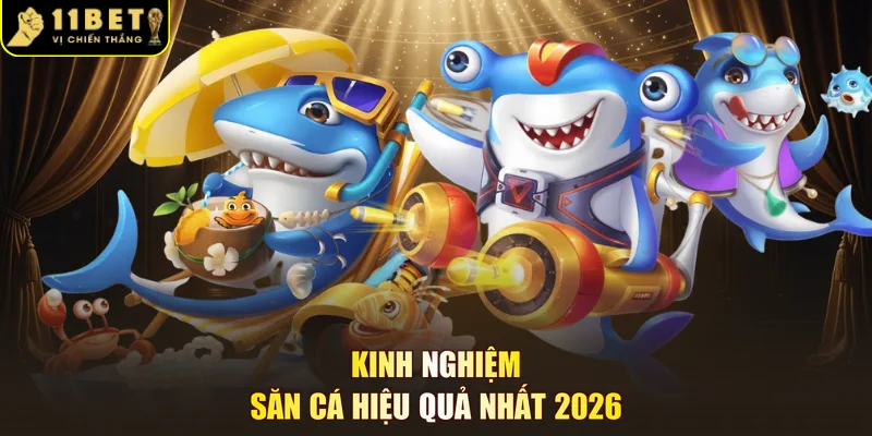 Kinh nghiệm săn cá hiệu quả nhất 2026